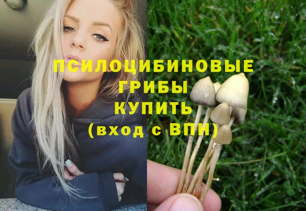 mdma Новодвинск