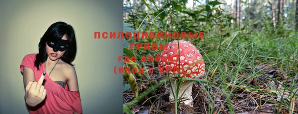 мет Нефтекумск