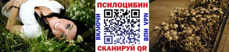 это какой сайт  Красный Кут  Галлюциногенные грибы прущие грибы 
